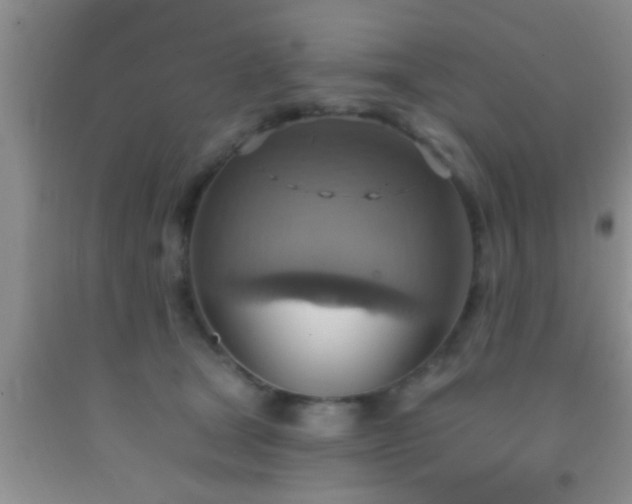 X0000092110465200709191331