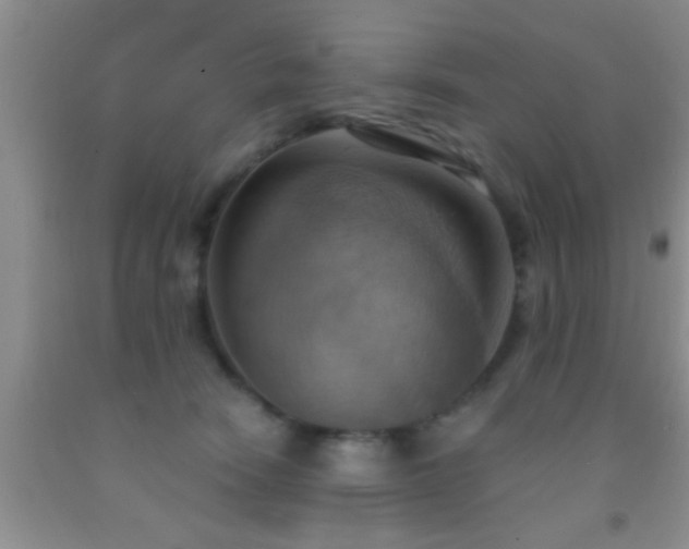 X0000092110466200709191331