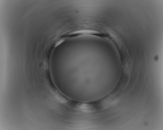 X0000092110467200709191331