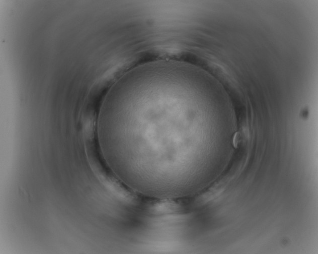 X0000092110468200709191331