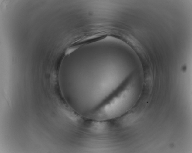 X0000092110469200709191331