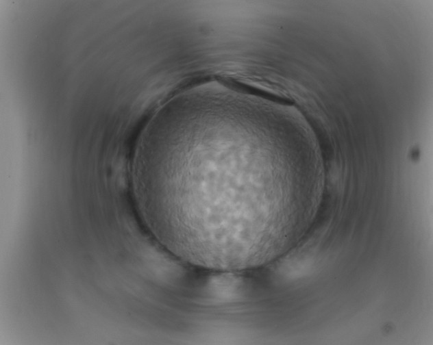 X0000092110470200709191331