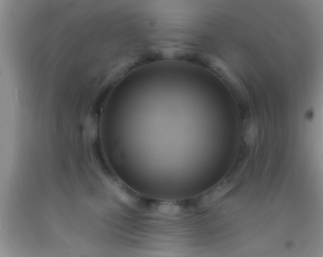 X0000092110471200709191331