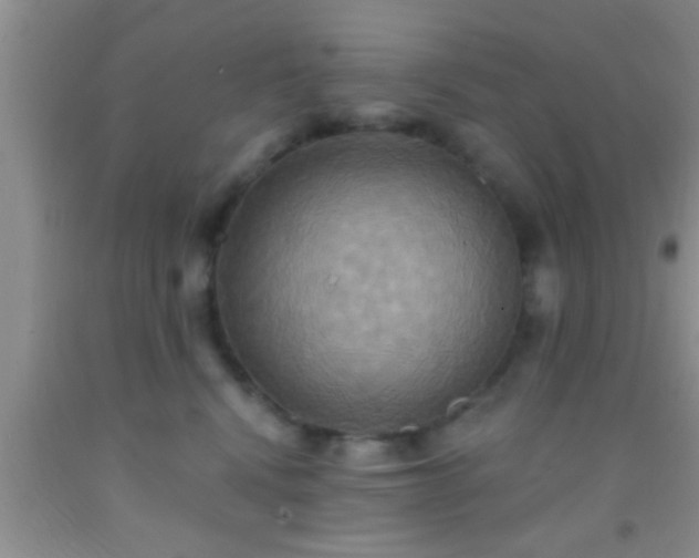 X0000092110472200709191332