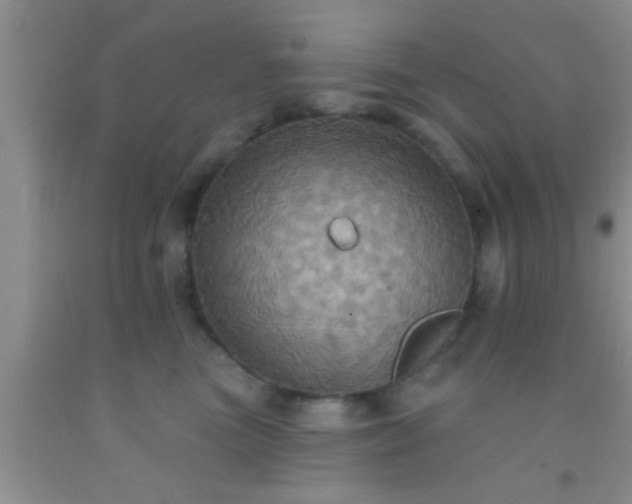 X0000092110473200709191332