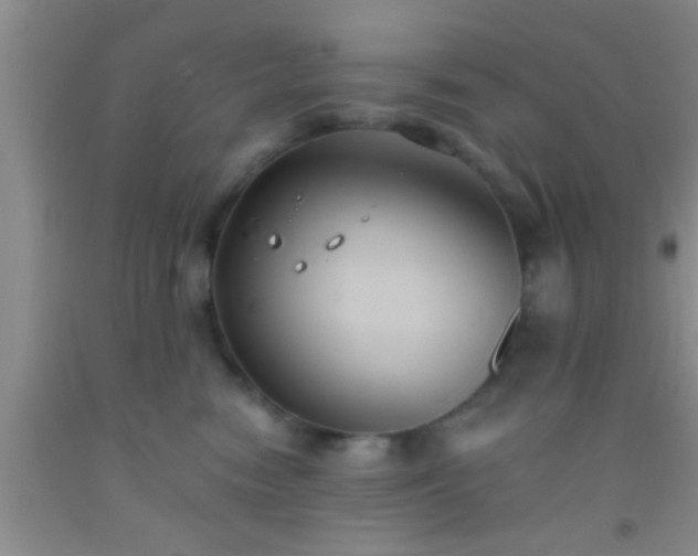 X0000092110474200709191332