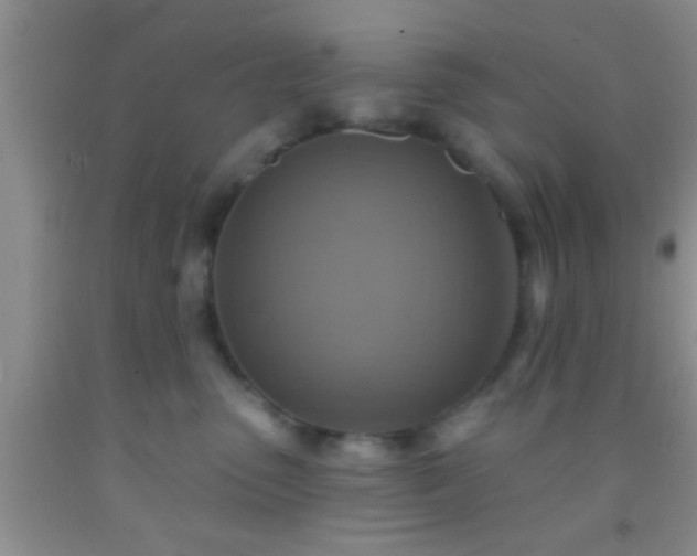 X0000092110475200709191332