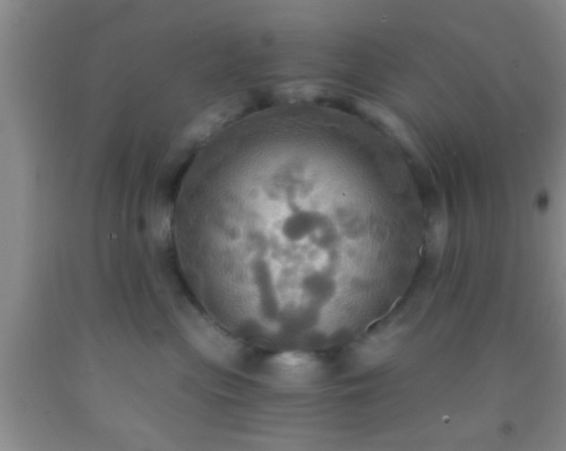 X0000092110477200709191332