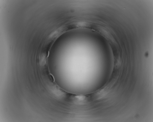 X0000092110478200709191332