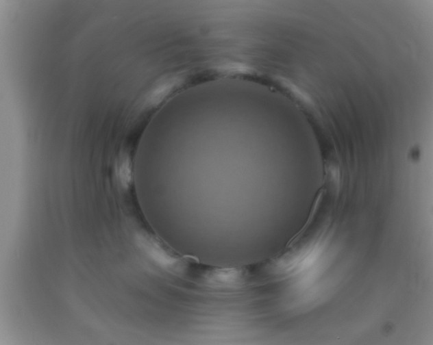 X0000092110479200709191332