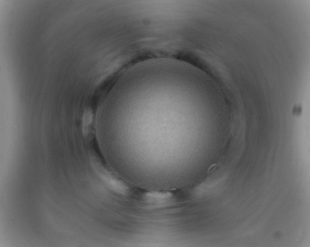 X0000092110480200709191332