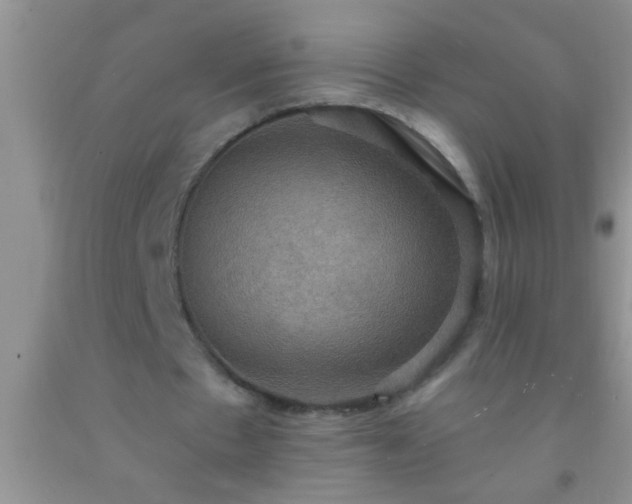 X0000092110481200709191331