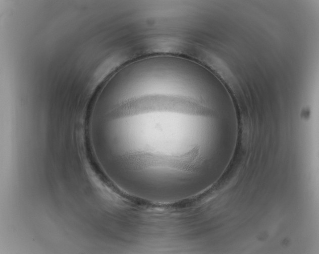 X0000092110482200709191331