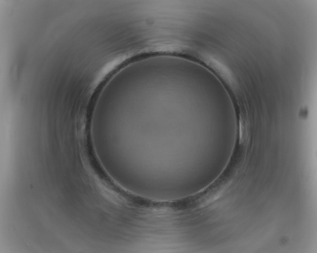 X0000092110483200709191331