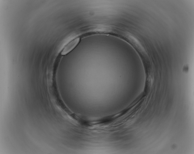 X0000092110484200709191331