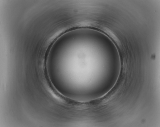 X0000092110485200709191331