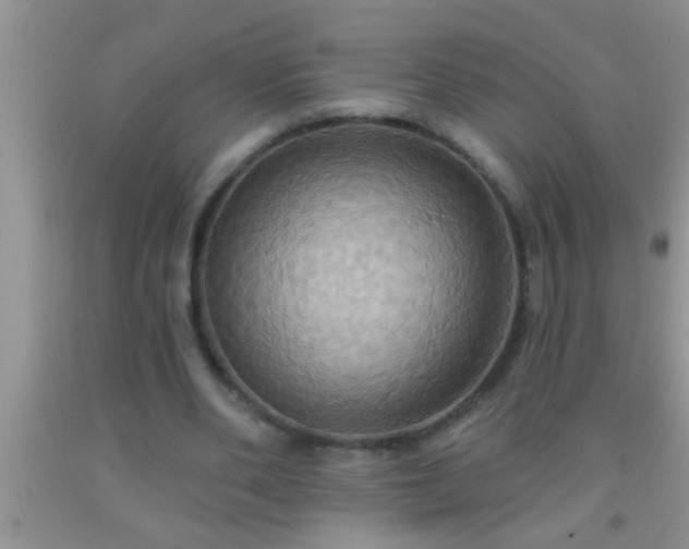 X0000092110486200709191331