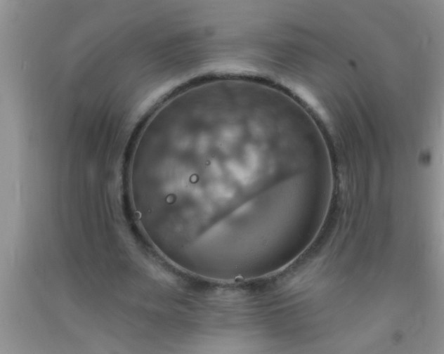 X0000092110487200709191331