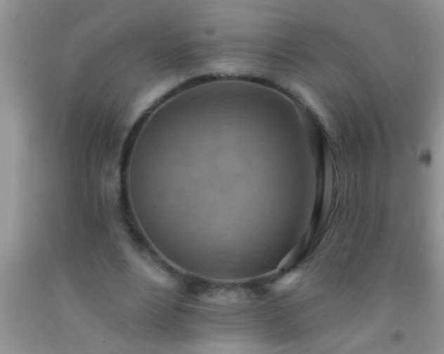 X0000092110488200709191331