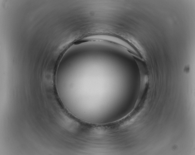 X0000092110489200709191331