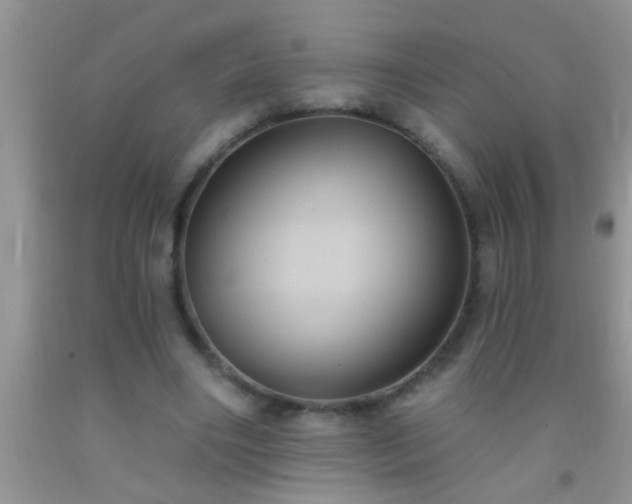 X0000092110490200709191331