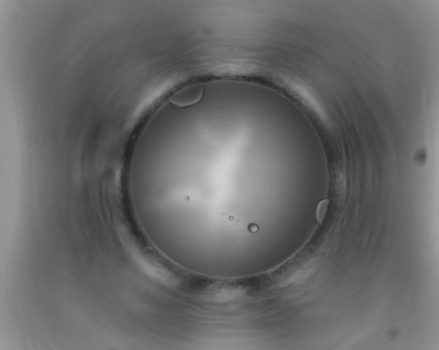 X0000092110491200709191331