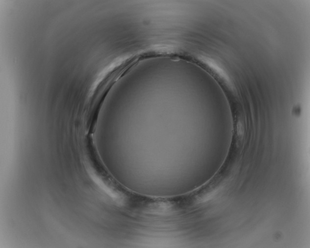 X0000092110492200709191331