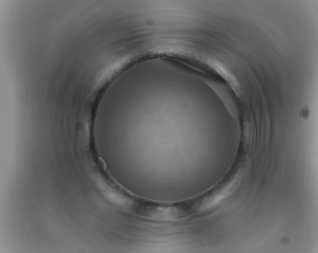 X0000092110493200709191331