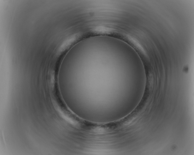 X0000092110494200709191331