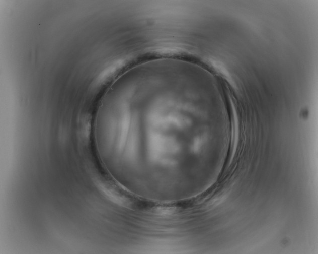 X0000092110495200709191331