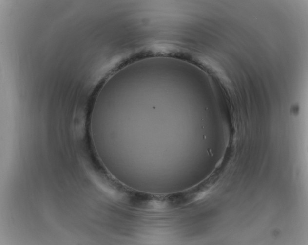 X0000092110496200709191331