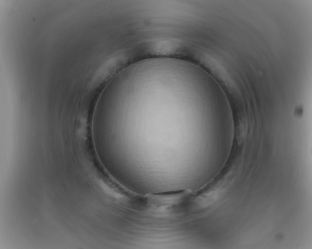 X0000092110497200709191331