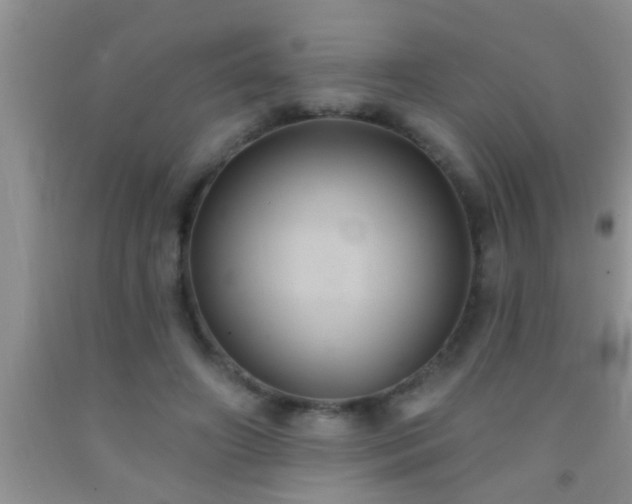 X0000092110498200709191331