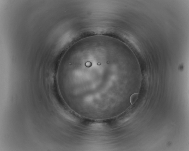 X0000092110499200709191331