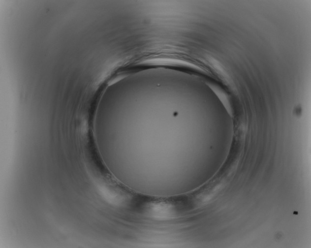 X0000092110500200709191331