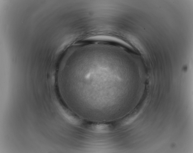 X0000092110501200709191331