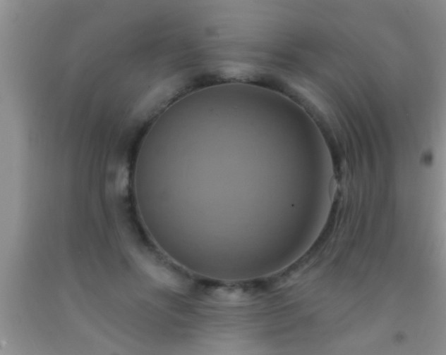 X0000092110502200709191331