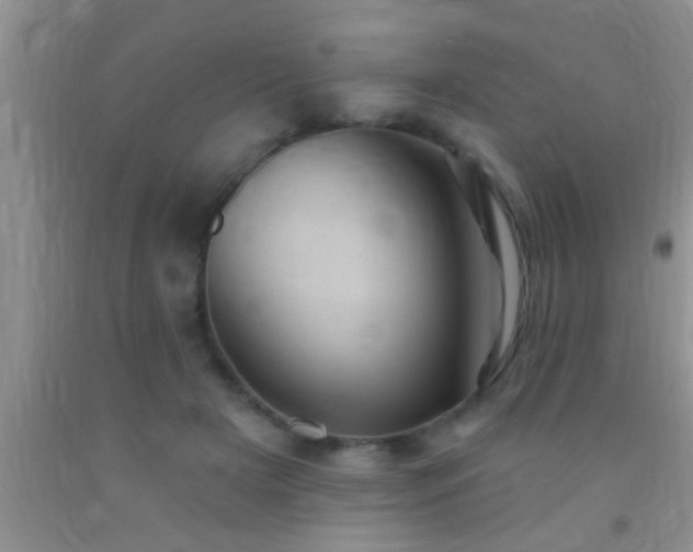 X0000092110505200709191331