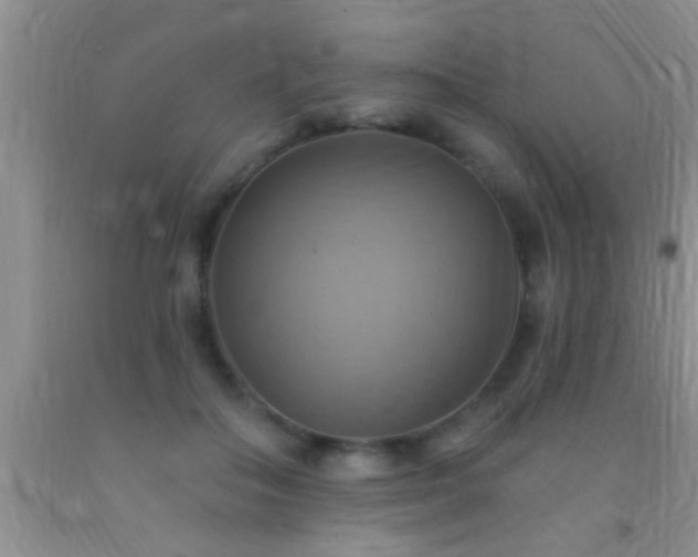 X0000092110506200709191331