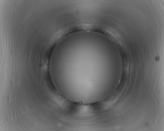 X0000092110507200709191331