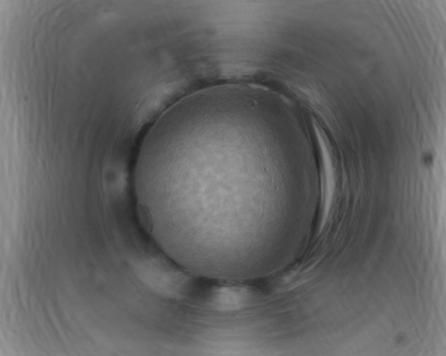 X0000092110508200709191331