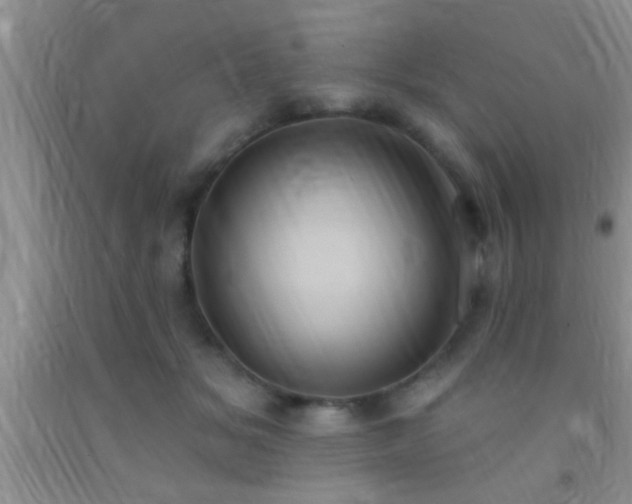 X0000092110509200709191331