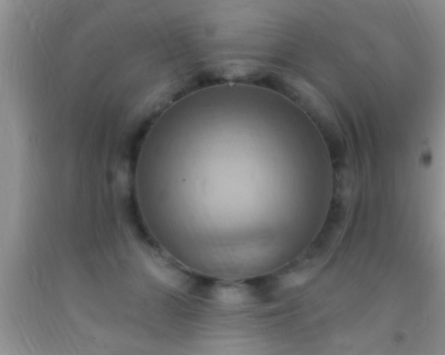 X0000092110510200709191331