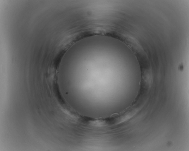 X0000092110511200709191331