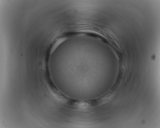 X0000092110512200709191331