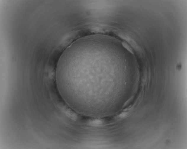 X0000092110513200709191331