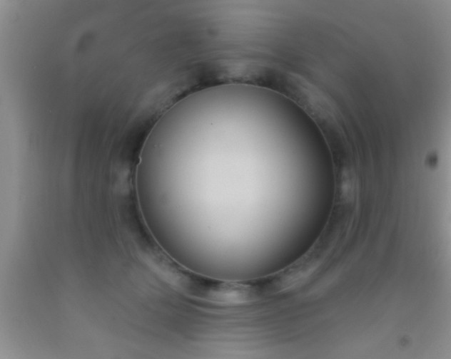 X0000092110514200709191331