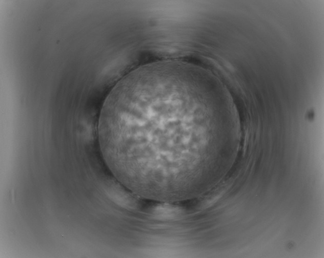 X0000092110515200709191331