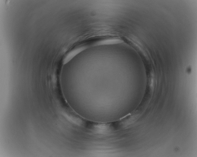 X0000092110516200709191331