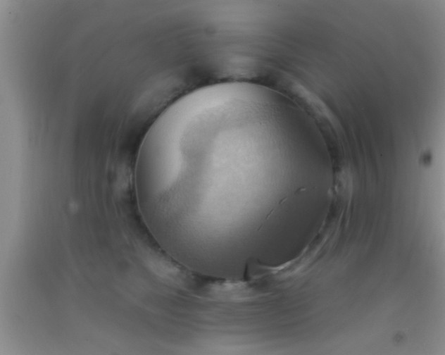 X0000092110517200709191331